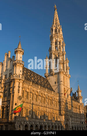 Grand Place Hôtel de Ville-Brüssel-Belgien Stockfoto