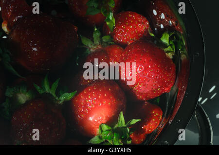 nassen Erdbeeren in Sieb Stockfoto