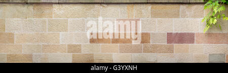 Panorama einer Steinmauer Beige-braun Stockfoto