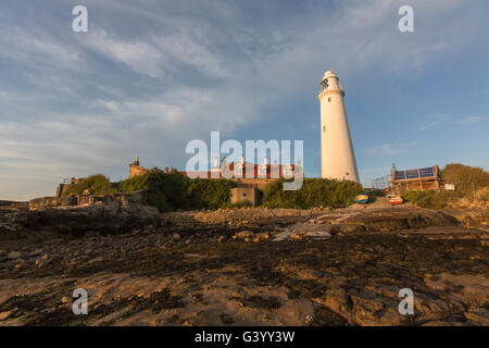 Str. Marys Leuchtturm und auf dem Land in St Mary's Island, Tyne and Wear, England, UK Stockfoto