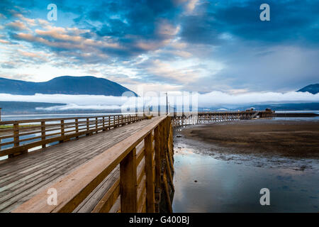 British Columbias Salmon Arm Wharf an einem bewölkten Morgen bei Sonnenaufgang, mit niedrigen Nebel am Horizont. Es ist die längste hölzerne wharf Stockfoto