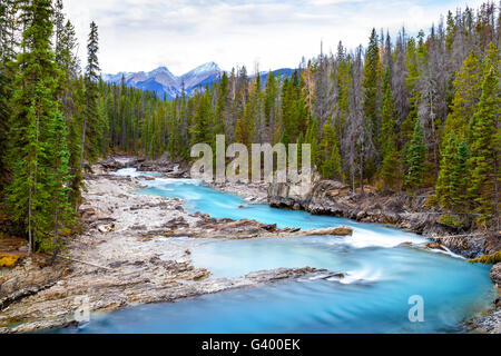 Rauschenden Wasser aus dem Kicking Horse River schnitzt durch Natural Bridge im Yoho Nationalpark in den kanadischen Rocky Mountains. Stockfoto