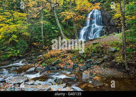 Deer Hollow Brook Kaskaden über Felsen zu bilden Moos Glen fällt, Addison Co., VT Stockfoto