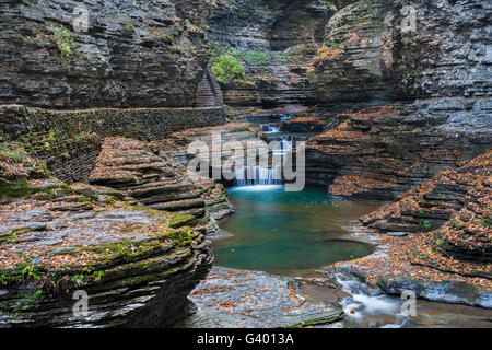 New York NY Schuyler See 20100304 TM invertiert Wiederherstellung
