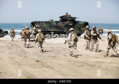 US-Marines zurück auf ihre amphibische Fahrzeuge am Camp Pendleton, Kalifornien. Stockfoto