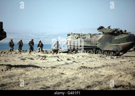 Peruanische Marines aussteigen amphibische Fahrzeuge während der Durchführung eines Strand-Angriffs. Stockfoto