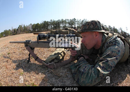 US-Marine feuert seine Scharfschützengewehr M40A3 7,62 mm. Stockfoto