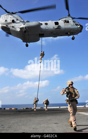 Marines schnell Seil von einem Hubschrauber CH-46E Sea Knight. Stockfoto