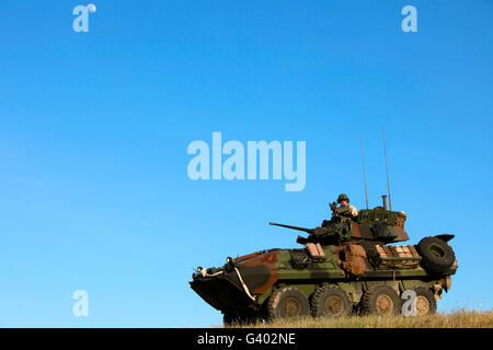 Ein Aufklärungsfahrzeug LAV-25 Rüstung. Stockfoto