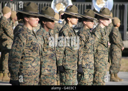 US Marine Corps weiblichen Drill Instruktoren stehen Parade ruht. Stockfoto