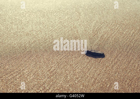 Einzelne kleine Stein am Strand liegen, unscharf sandigen abstrakten Hintergrund. Getönten Bild mit Tiefenschärfe. Stockfoto