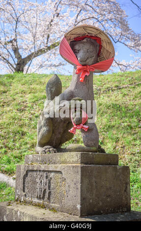 FUKUSHIMA, JAPAN - APR 15,2016: Fushimi Inari Stein Fuchs Guarda Holztore Tsuruga Schloss umgeben von Hunderten von Sakura t Stockfoto