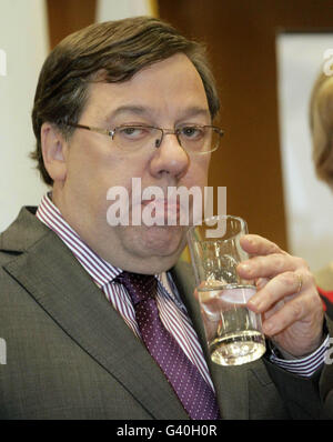 Brian Cowen Führung Gespräche Stockfoto