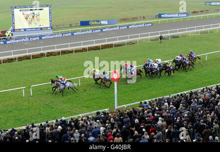 Pferderennen - William Hill Super Saturday - Kempton Park. Läufer und Fahrer der William Hill Handicap-Hürde machen sich auf den Weg nach oben, vorbei an der Tribüne in Richtung Zielpfosten Stockfoto