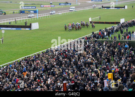 Pferderennen - William Hill Super Saturday - Kempton Park. Läufer und Fahrer der William Hill Handicap-Hürde machen sich auf den Weg nach oben, vorbei an der Tribüne in Richtung Zielpfosten Stockfoto