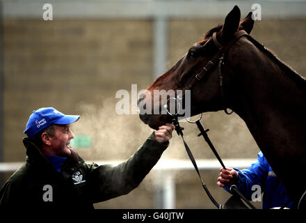 Trainer Jonjo O'Neill mit Grand National Gewinner Don't Push IT im Jackdaw Castle Stables, Cheltenham. Stockfoto