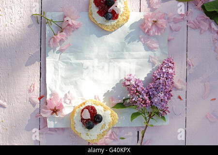 Schön, Frühling Blumenkarte mit japanischen Kirsche blühenden Blumen Stockfoto