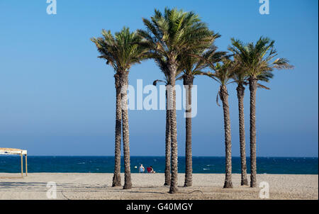 Palmen am Strand, Roquetas de Mar, Costa de Almeria, Andalusien, Spanien, Europa Stockfoto