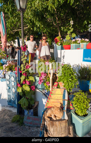 Die Wassermühle von Zia Taverne im Hang Dorf Zia, Kos (Cos), die Dodekanes, South Aegean Region, Griechenland Stockfoto