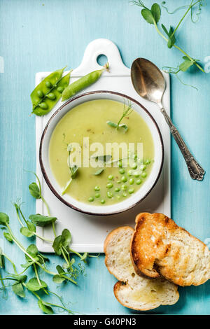 Sommerlich leichte grüne Creme Erbsensuppe in Schüssel mit Sprossen, Brot, Toast und Gewürze. Weiße Keramik Board in die Mitte, Türkis-bl Stockfoto