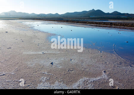 Trocknen Sie natürliche Salzseen (Salinas) an der Küste von Murcia, Spanien Stockfoto