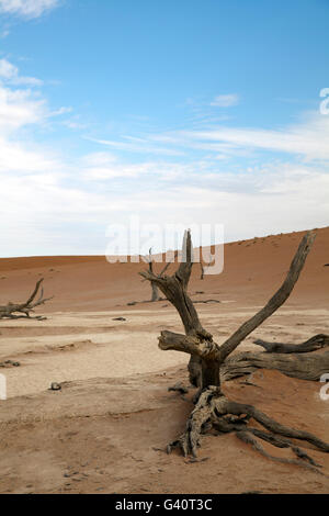 Deadvlei mit Toten Akazien in Sossusvlei in Namibia Stockfoto