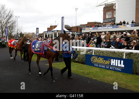 Pferderennen - William Hill Super Saturday - Kempton Park. Jolly Roger im Paradering im Kempton Park Stockfoto