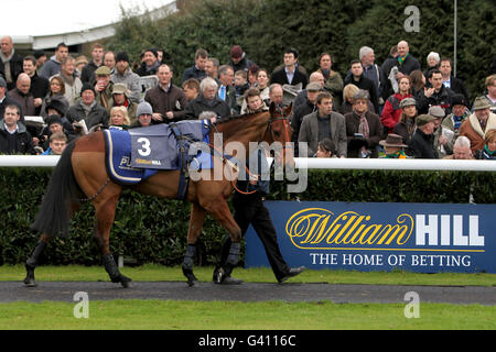 Pferderennen - William Hill Super Saturday - Kempton Park. Kuckuckfelsen im Paradering im Kempton Park Stockfoto