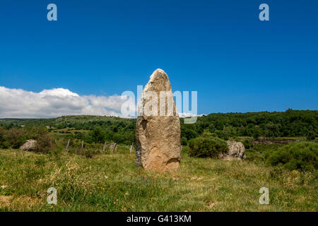 Neolithisches Menhir, Cham des Bondons, UNESCO-Weltkulturerbe, Nationalpark Cevennen, Departement Lozere, Occitanie, Frankreich Stockfoto