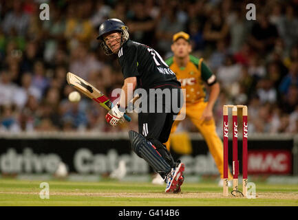 Cricket - First International Twenty20 - Australien - England - Adelaide Oval. Der englische Eoin Morgan schlägt beim ersten Spiel der International Twenty20 im Adelaide Oval in Adelaide. Stockfoto