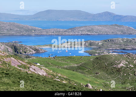 Lämmer Kopf, Abbey Island, Ring of Kerry, Irland Stockfoto