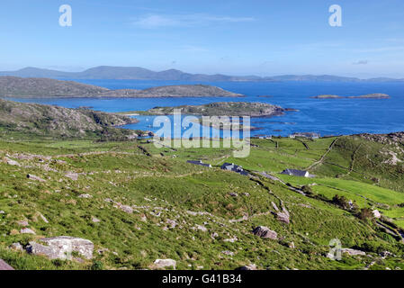 Lämmer Kopf, Abbey Island, Ring of Kerry, Irland Stockfoto