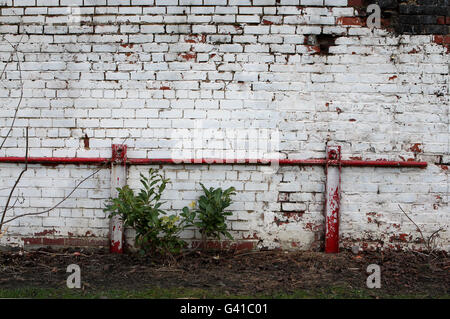 Fußball - Grundstück alte Fußball - Middlesbrough - Ayresome Park Stockfoto