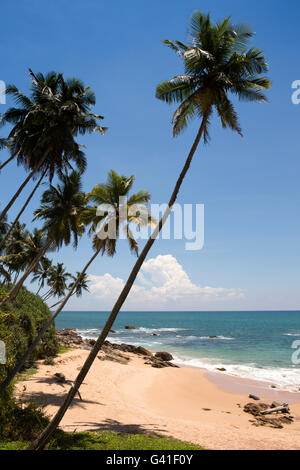 Sri Lanka, Hambantota, Tangalle, Südküste leer tropischer Palmen gesäumten Strand Stockfoto