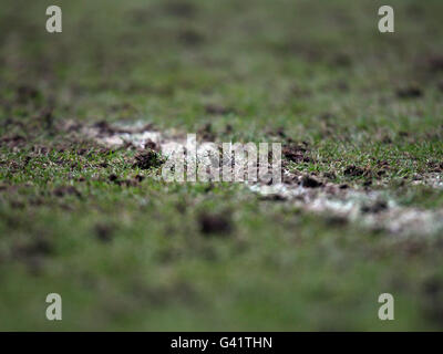 Rugby-Union - britischen und irischen Cup - Pool B - Nottingham Rugby V Melrose - Meadow Lane Stockfoto