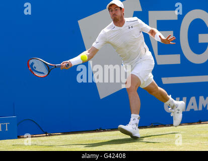 Queens Club, London, UK. 17. Juni 2016. Aegon Tennis Championships Königinnentag fünf. Damen Einzel Titelverteidiger Andy Murray trifft eine Vorhand in seinem Viertelfinale Match gegen Kyle Edmund (GBR). Bildnachweis: Aktion Plus Sport/Alamy Live-Nachrichten Stockfoto