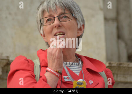 Manchester, UK. 17. Juni 2016. Julie Ward, Mitglied des Europäischen Parlaments für Nordwestengland, anlässlich der Kerzenlicht-Mahnwache für Helen Joanne 'Jo' Cox MP am 17. Juni 2016 in Manchester, England. Jo Cox (1974-2016) Labour Parlamentsmitglied für Batley und Spen in England und war die internationale Wohltätigkeitsorganisation Oxfam. Sie wurde erschossen und erstochen in ihrem Wahlkreis am 16. Juni 2016. Bildnachweis: Jonathan Nicholson/Alamy Live-Nachrichten Stockfoto