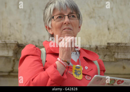 Manchester, UK. 17. Juni 2016. Julie Ward, Mitglied des Europäischen Parlaments für Nordwestengland, anlässlich der Kerzenlicht-Mahnwache für Helen Joanne 'Jo' Cox MP am 17. Juni 2016 in Manchester, England. Jo Cox (1974-2016) Labour Parlamentsmitglied für Batley und Spen in England und war die internationale Wohltätigkeitsorganisation Oxfam. Sie wurde erschossen und erstochen in ihrem Wahlkreis am 16. Juni 2016. Bildnachweis: Jonathan Nicholson/Alamy Live-Nachrichten Stockfoto