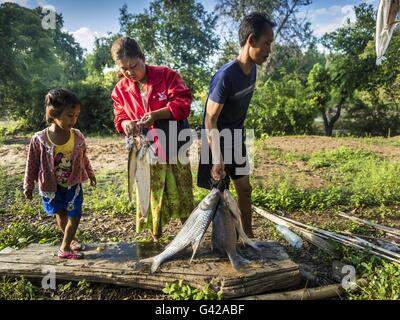 18. Juni 2016 - Don Khone, Champasak, Laos - wiegt eine Fischerfamilie ihren Fang nach ans Ufer bei Khon Pa Soi Wasserfällen, auf der Ostseite des Don Khon. Es ist die kleinere der zwei Wasserfälle in Don Khon. Fischer haben ein ausgeklügeltes System von Hängebrücken über die Fälle konstruiert, die sie benutzen, um die Fischfallen, die sie gesetzt. Fischer in der Gegend sind mit geringeren Erträgen und kleinere Fische, streitenden ihre Art zu Leben bedroht. Der Mekong ist eines der artenreichsten und produktivsten Flüsse auf der Erde. Es ist ein globaler Hotspot für Süßwasserfische: mehr als 1.000 Arten wurden Rec Stockfoto