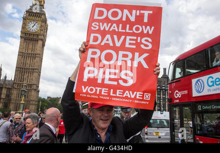 Lassen Fans aufgepasst die Abstimmung "Flottille von Westminster Bridge - Banner"Daves Schweinefleischpasteten nicht schlucken" Stockfoto