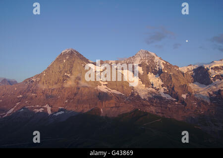 Eiger, Mönch, Mond über Jungfraujoch, vom Lauberhorn (in der Nähe von Kleine Scheidegg), Abendlicht, Schweiz Stockfoto