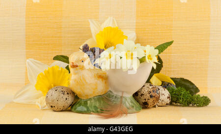 Objekte und Blumen, die das Konzept der Feder Stockfoto