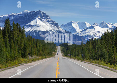 Icefields Parkway / Highway 93 in Jasper Nationalpark, Alberta, Kanada Stockfoto