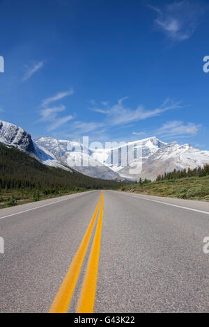 Tiefbetrübt Icefields Parkway / Highway 93 in Jasper Nationalpark, Alberta, Kanada Stockfoto