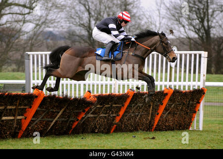 Pferderennen - Huntingdon Racecourse. Jockey Denis O'Regan auf Seven Summits springt während der Corona und Three Jolly Butchers Chatteris Fen Juvenile Hürde Stockfoto