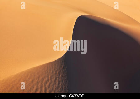 Sahara Wüste Sanddünen. Stockfoto