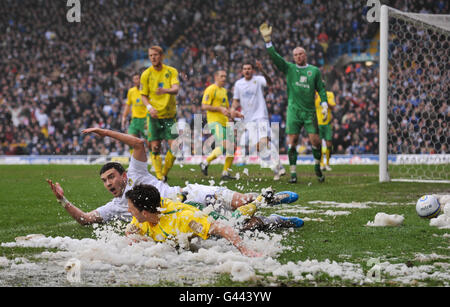 Fußball - Npower Football League Championship - Leeds United gegen Norwich City - Elland Road Stockfoto