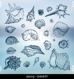 Sammlung von Muscheln Stock Vektor