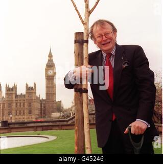 Gummer/Baum umarmen Stockfoto