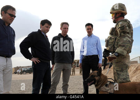 Der Gewerkschaftsführer Ed Miliband (zweiter rechts), der Schattenverteidigungsminister Jim Murphy (zweiter links) und der Schattenaußenminister Douglas Alexander sowie der politische Redakteur des ITN, Tom Bradby (links), sehen bei einer Übung im Camp Bastion in der Provinz Helmand einen explosiven Sniffer-Hund Stockfoto